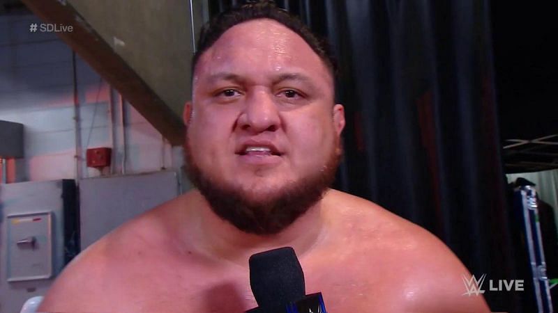 Ali's first real feud could be a very interesting one
